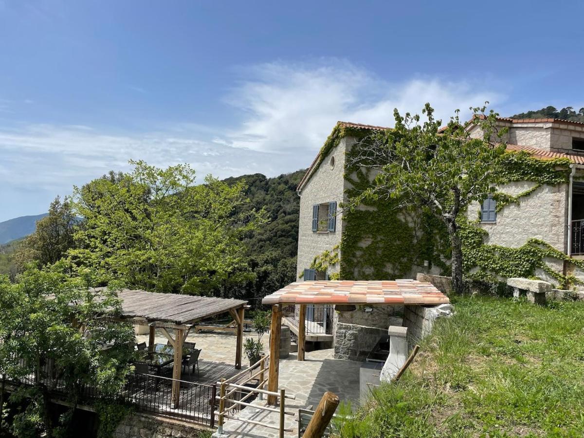 Sud-Corse Bavella Location Montagne Et Mer Sorbollano 外观 照片
